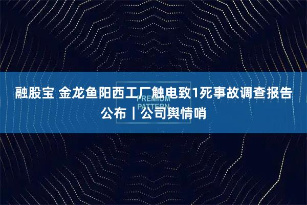 融股宝 金龙鱼阳西工厂触电致1死事故调查报告公布｜公司舆情哨